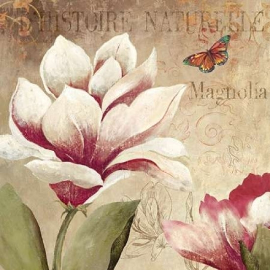 Magnolia Poster Print by PI Studio-VARPDXPA712A Image 1