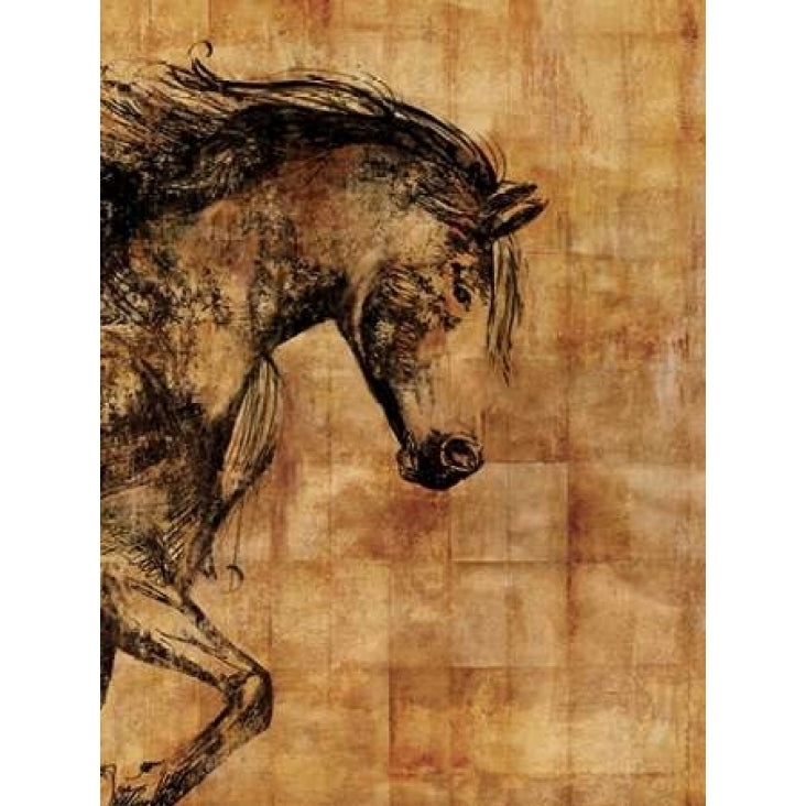 Stallion I - Print on Demand Poster Print by PI Studio-VARPDXPA783A Image 2