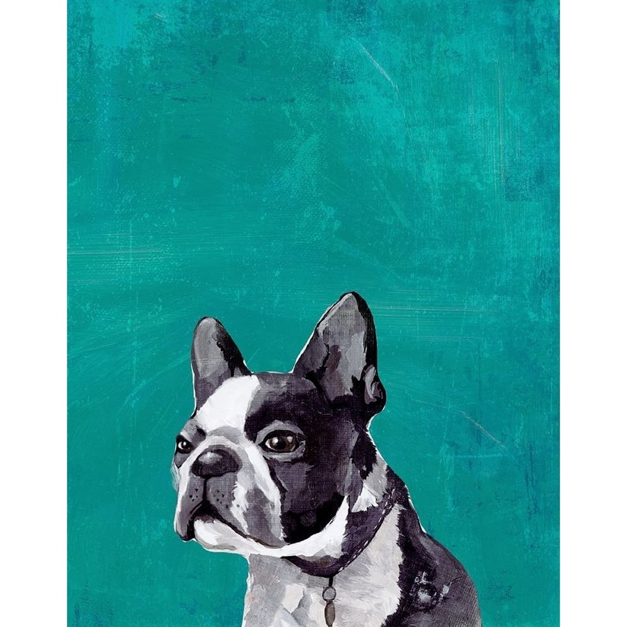 Frenchie Puppy Poster Print by PI Studio PI Studio-VARPDXPA991AF Image 1