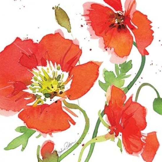 Red Poppies II Poster Print by Julie Paton-VARPDXPAT107 Image 1