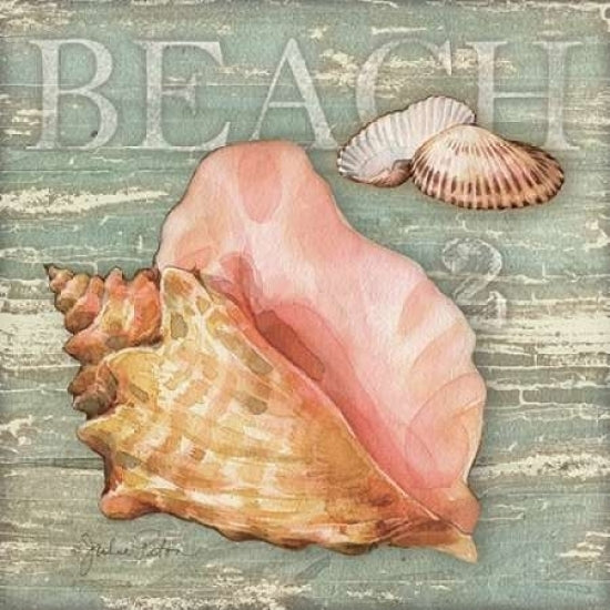 Beach Shells Conch Poster Print by Julie Paton-VARPDXPAT116 Image 1