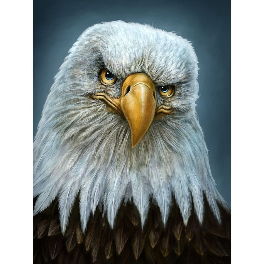 Bald Eagle Totem Poster Print - Patrick LaMontagne-VARPDXPATLAM201618 Image 1