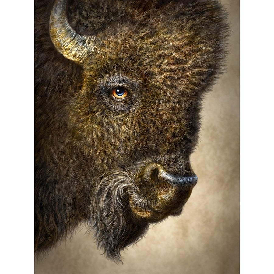 Bison Totem Poster Print - Patrick LaMontagne-VARPDXPATLAM201621 Image 1