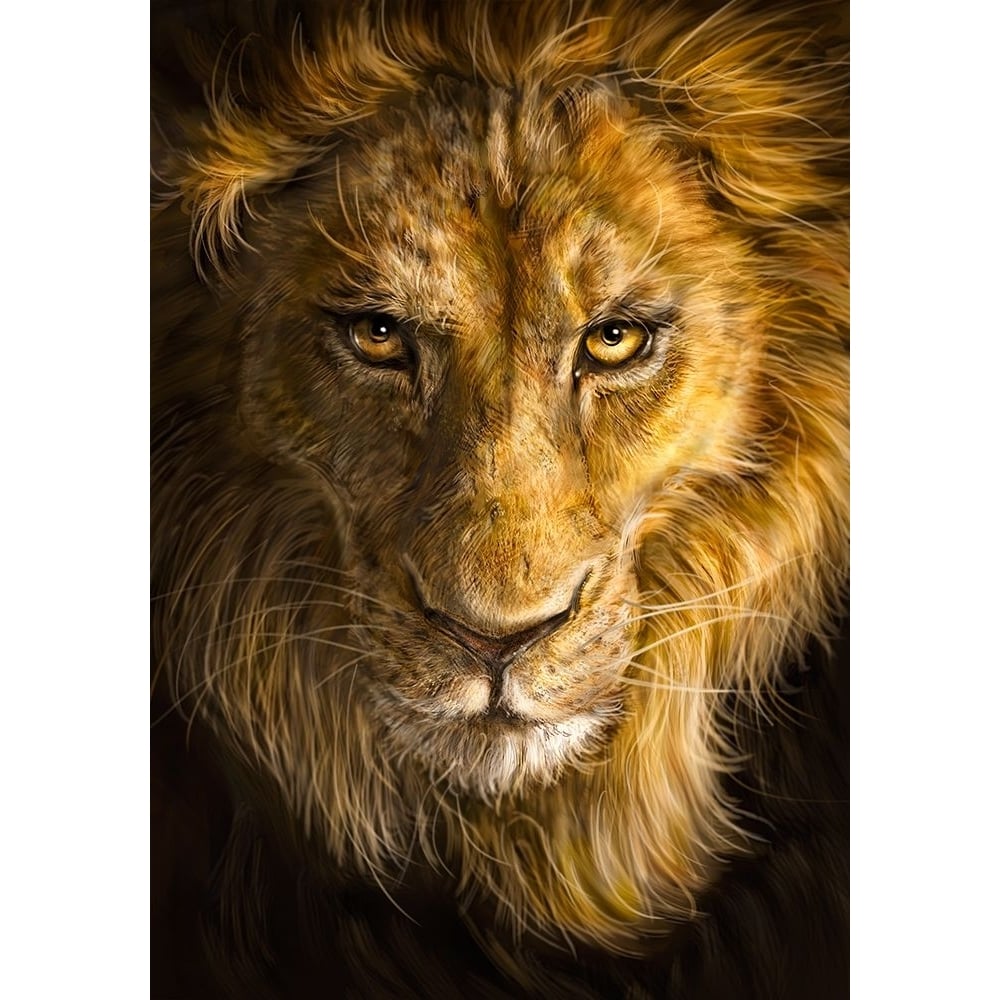 Lion Poster Print - Patrick LaMontagne-VARPDXPATLAM205102 Image 1