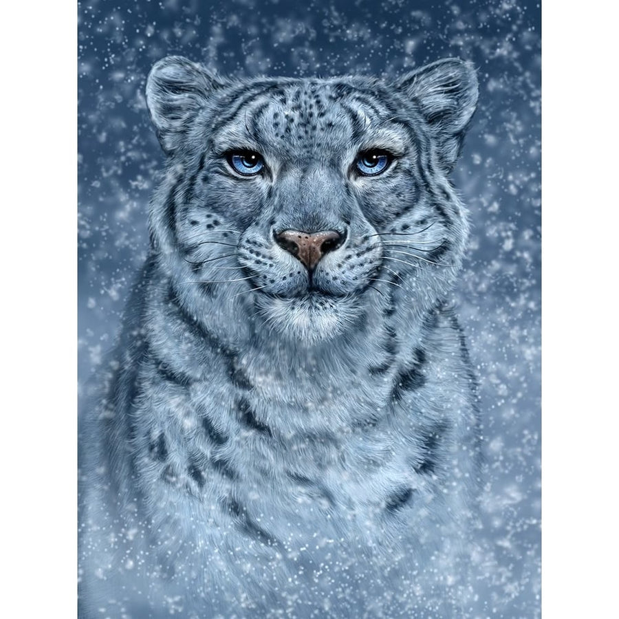 Snow Queen Poster Print - Patrick LaMontagne-VARPDXPATLAM276762 Image 1