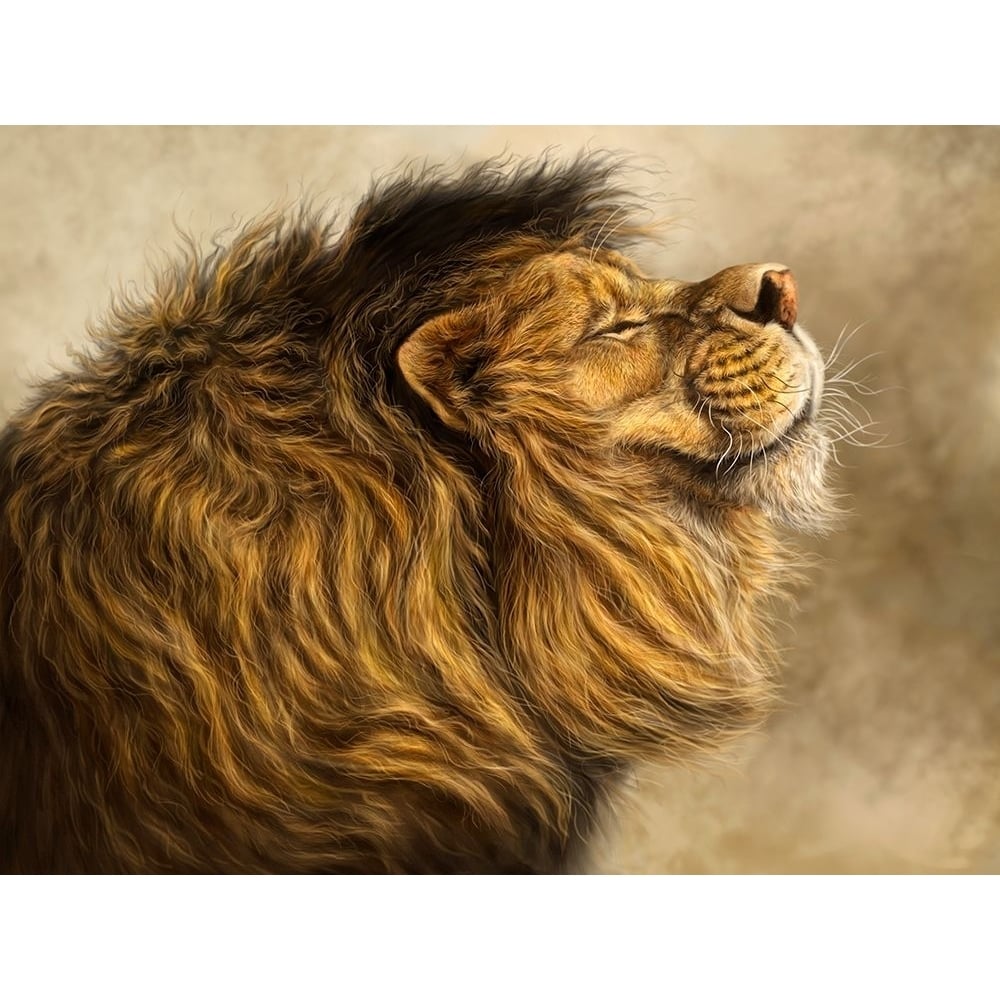 Smiling Lion Poster Print - Patrick LaMontagne-VARPDXPATLAM267266 Image 1