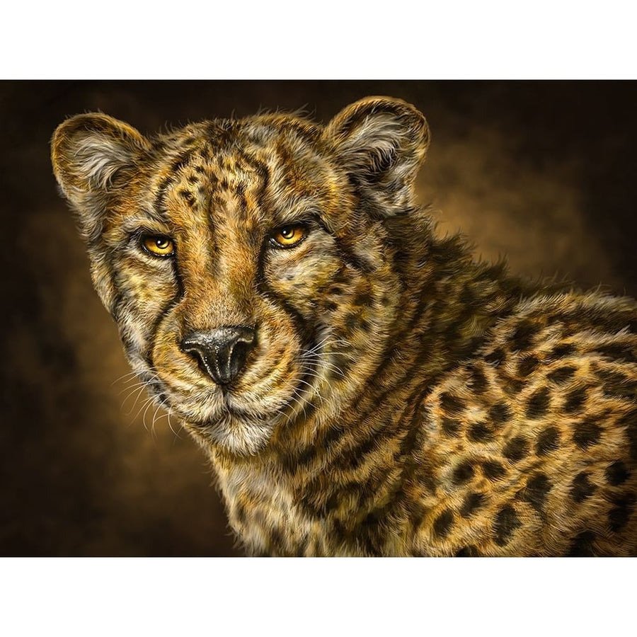 Cheetah Poster Print - Patrick LaMontagne-VARPDXPATLAM257600 Image 1