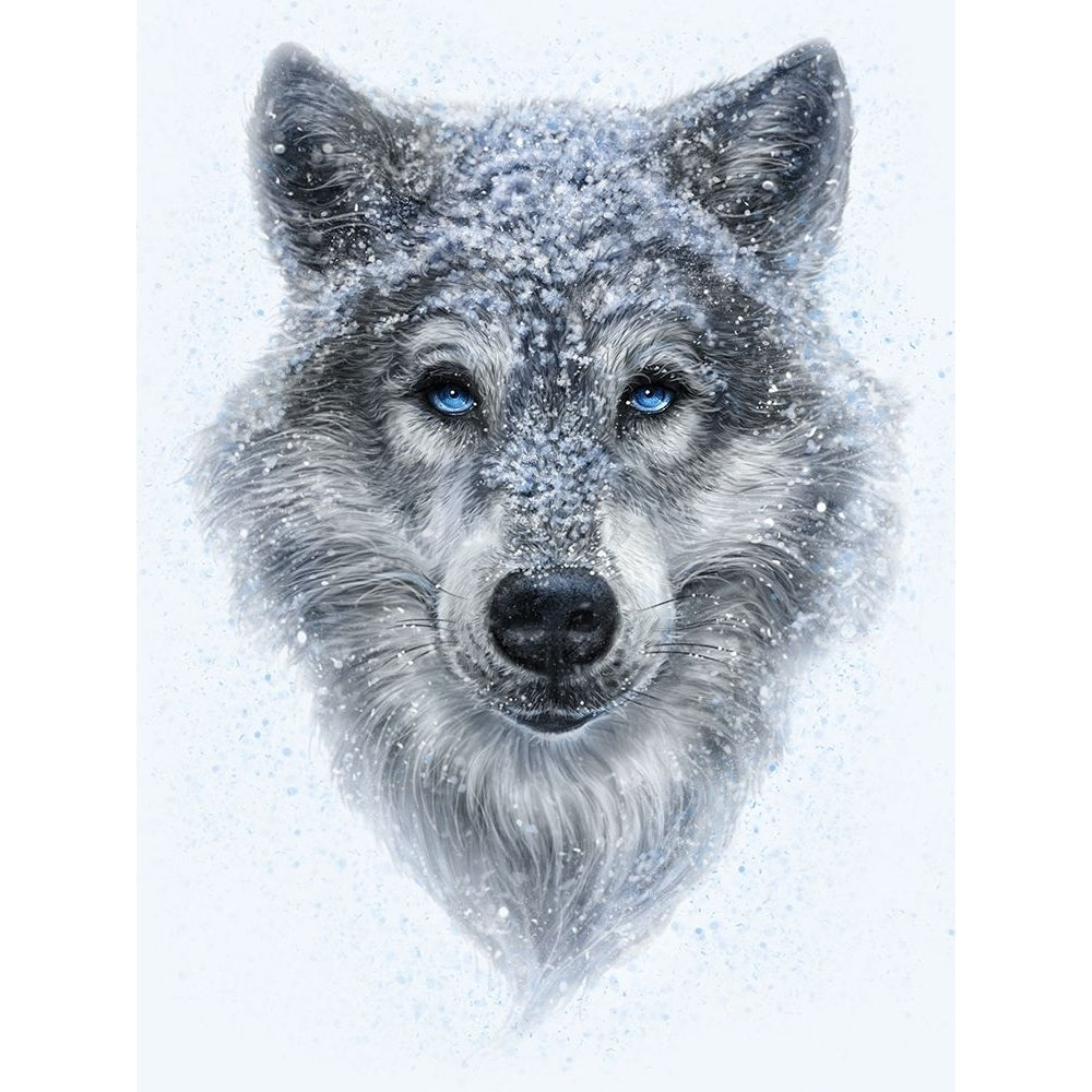 Winter Wolf Poster Print - Patrick LaMontagne-VARPDXPATLAM263591 Image 1