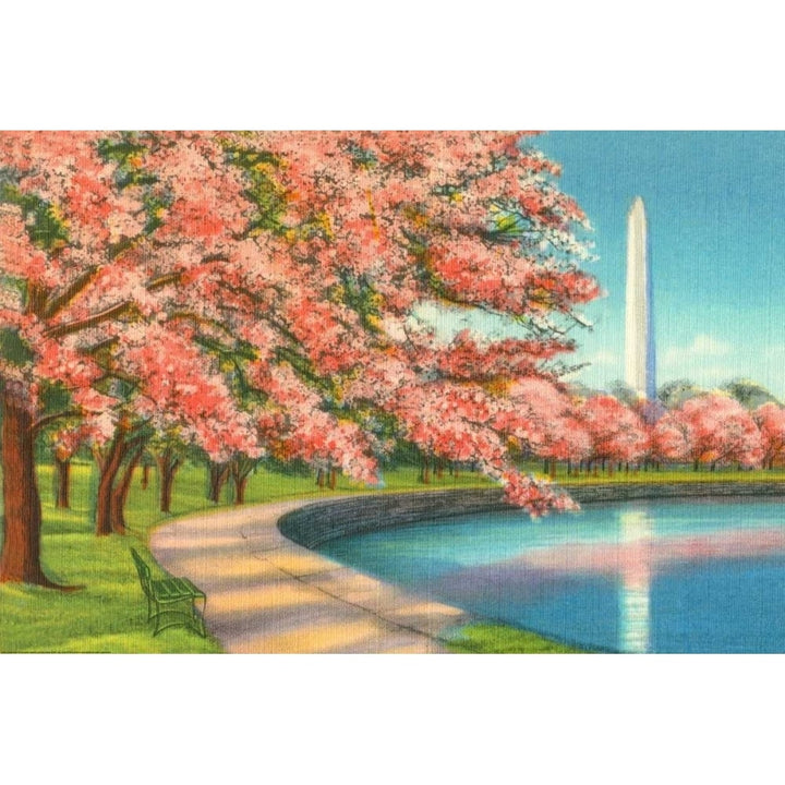 Washington Dc Poster Print by Alan Paul-VARPDXPAU18 Image 2