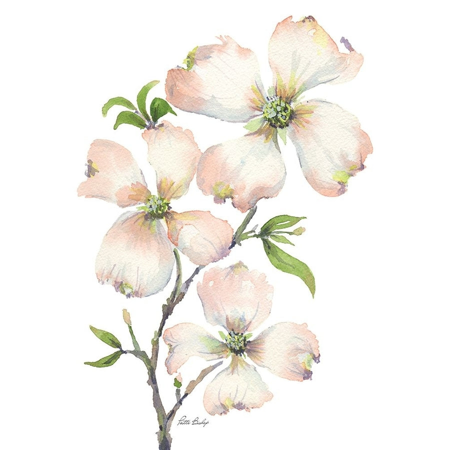 Dogwood Bunch Poster Print - Patti Bishop-VARPDXPBRC018A Image 1