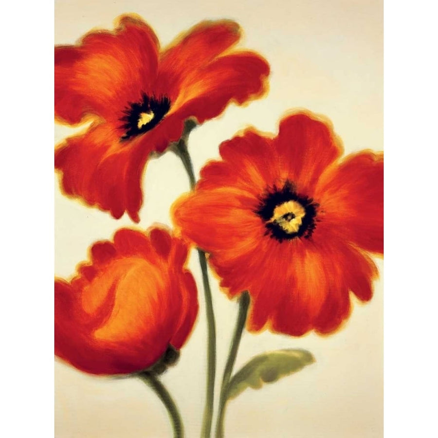 Orange Poppies Poster Print by Paula Benson-VARPDXPB4309 Image 1