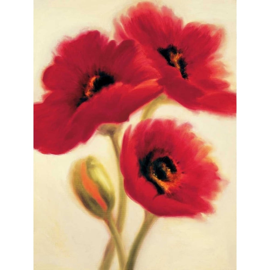 Red Poppies Poster Print by Paula Benson-VARPDXPB4308 Image 1