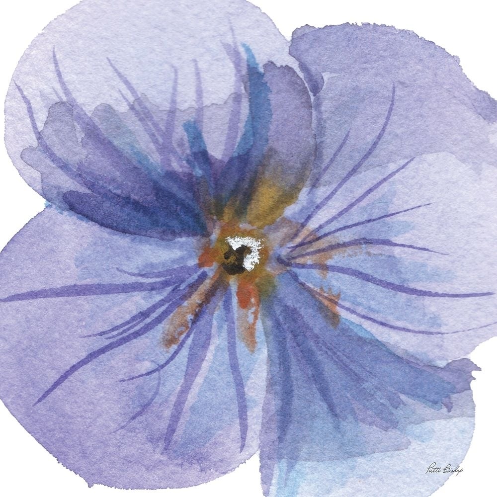 Pansie Purple Poster Print - Patti Bishop-VARPDXPBSQ013B Image 1