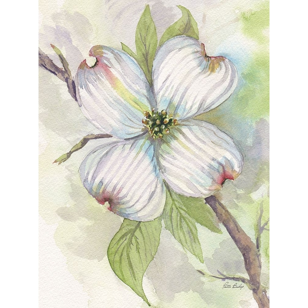 Dogwood Poster Print - Patti Bishop-VARPDXPBRC017A Image 1