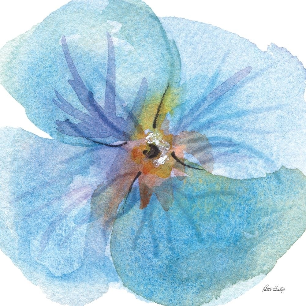 Pansie Blue Poster Print - Patti Bishop-VARPDXPBSQ013A Image 1