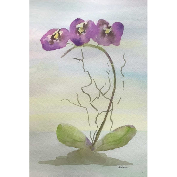 Orchid Duo 2 Poster Print by Debbie Pearson-VARPDXPDRC004B Image 1