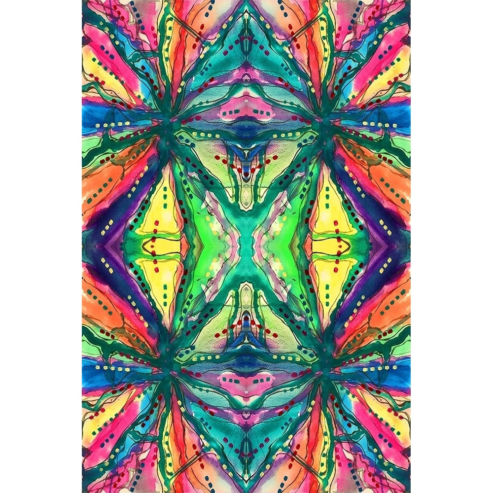 Kaleidoscope Abstract Pattern 223 Poster Print by Debbie Pearson-VARPDXPDRC019A Image 1