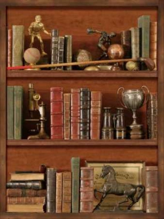 Librairie IV Poster Print by Pela Design-VARPDXPEL015 Image 1