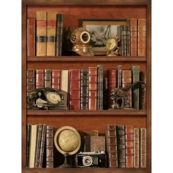 Librairie III Poster Print by Pela Design-VARPDXPEL014 Image 1