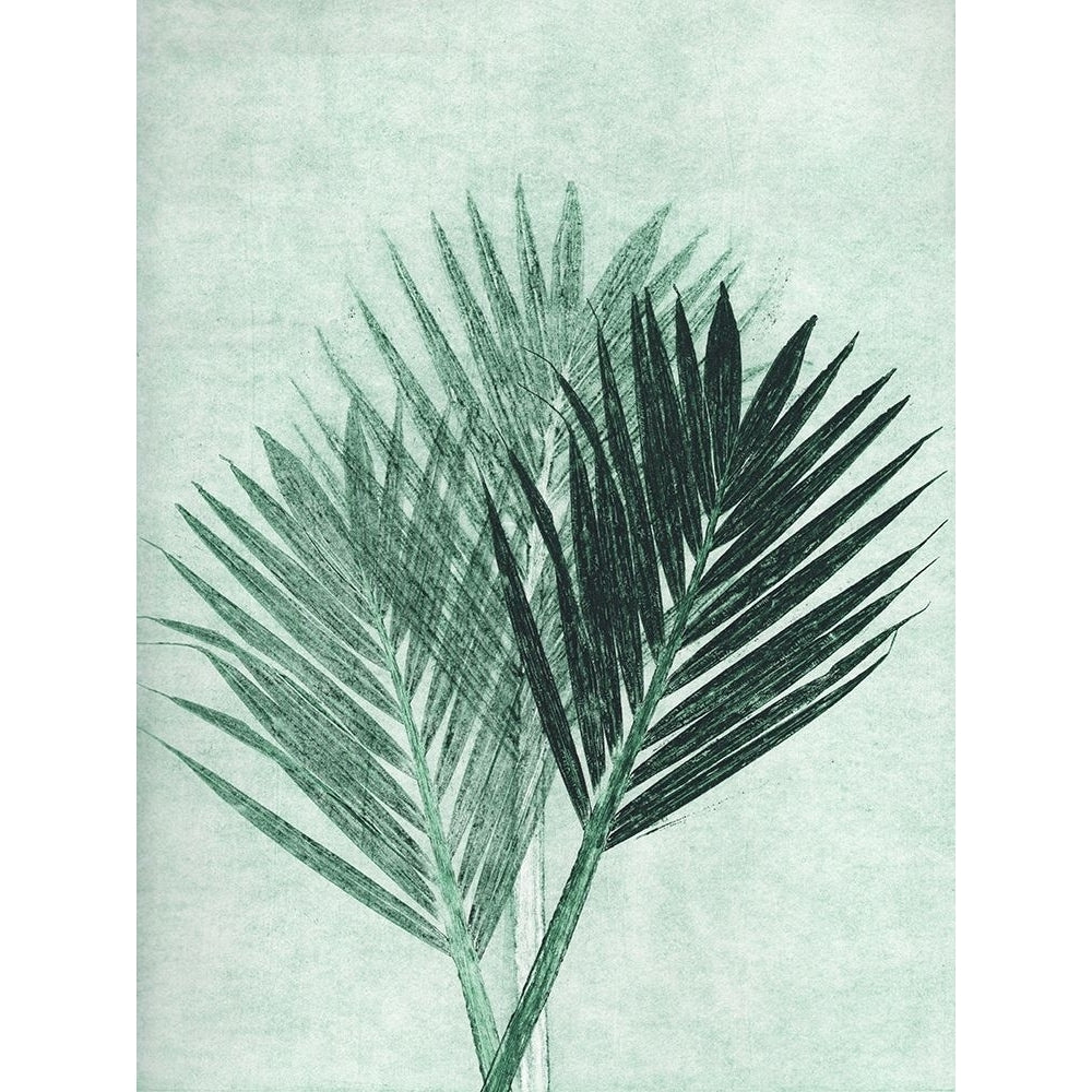 Palm 4 Green Poster Print - Pernille Folcarelli-VARPDXPF27 Image 1