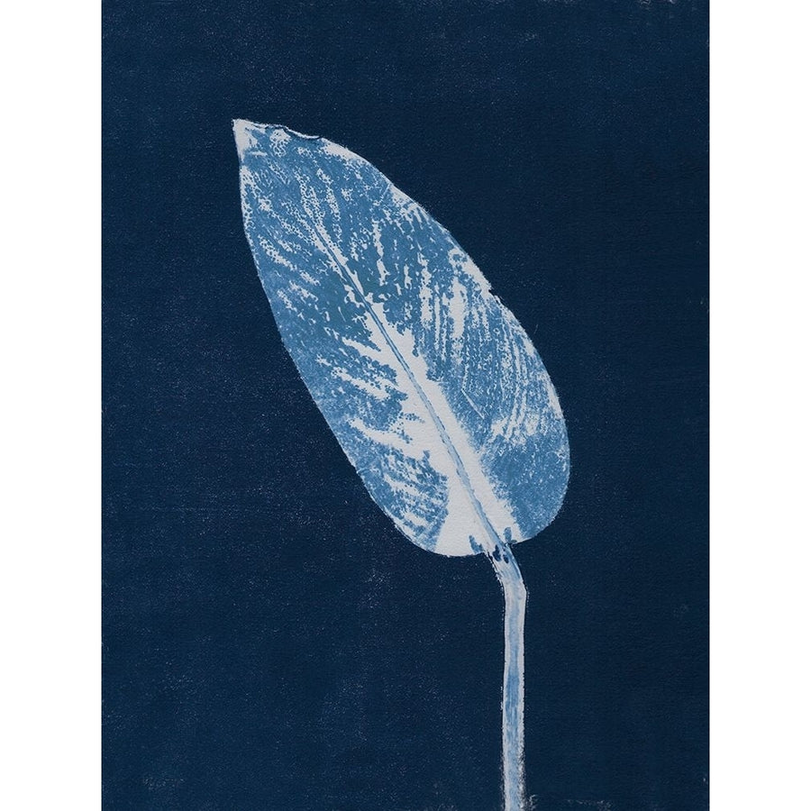 Calathea Blue Poster Print - Pernille Folcarelli-VARPDXPF37 Image 1