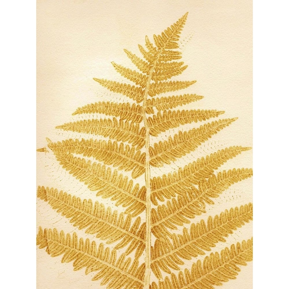 Fern Mustard Poster Print - Pernille Folcarelli-VARPDXPF71 Image 1