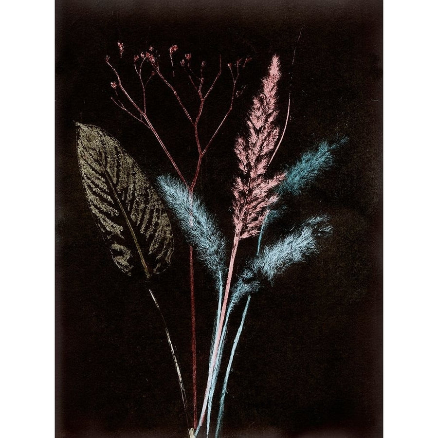 Bouquet 4 Dark Poster Print - Pernille Folcarelli-VARPDXPF69 Image 1