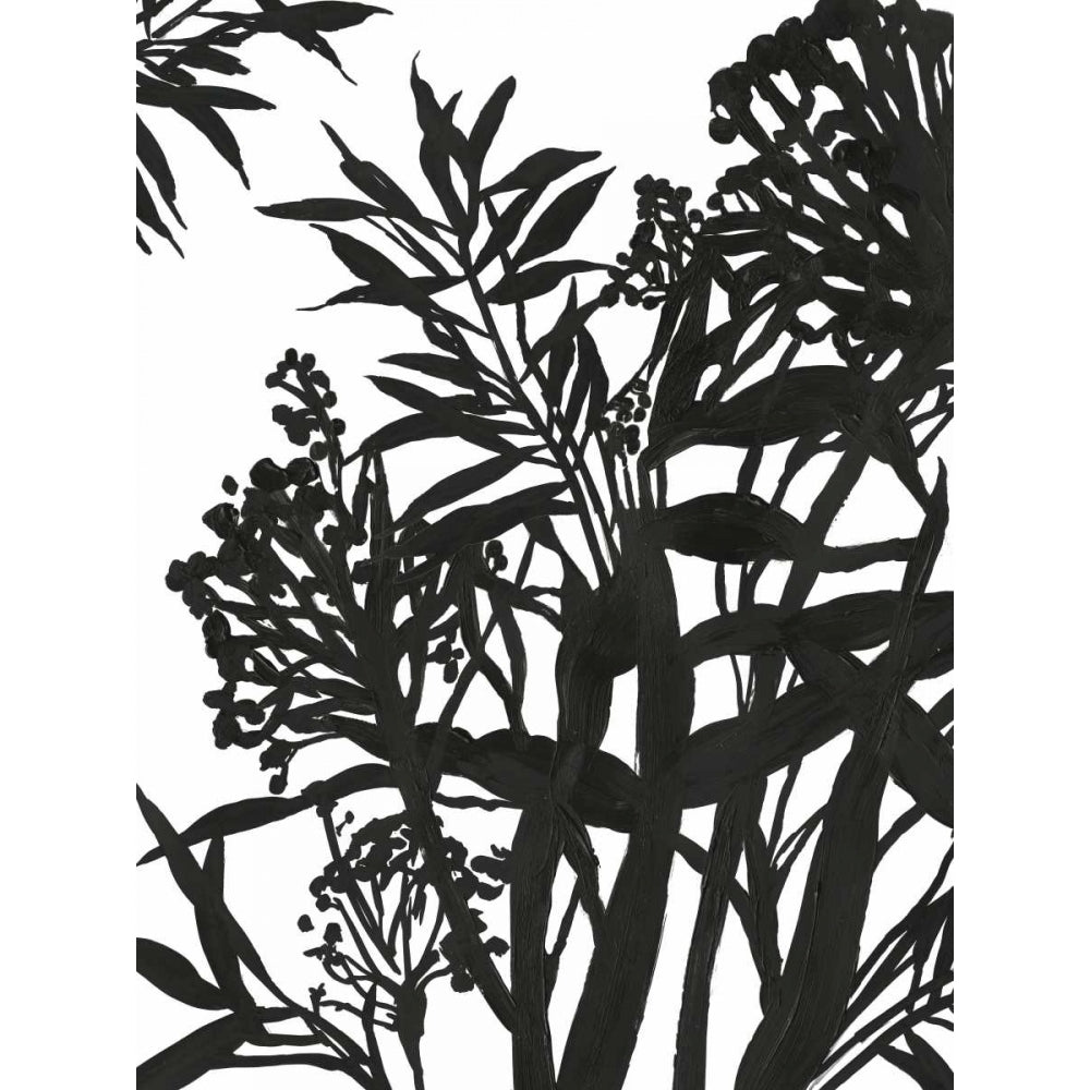 Monochrome Foliage II Poster Print by PI Studio-VARPDXPG357A Image 1