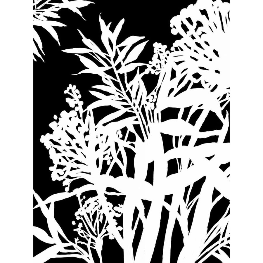 Monochrome Foliage IV Poster Print by PI Studio-VARPDXPG359A Image 1