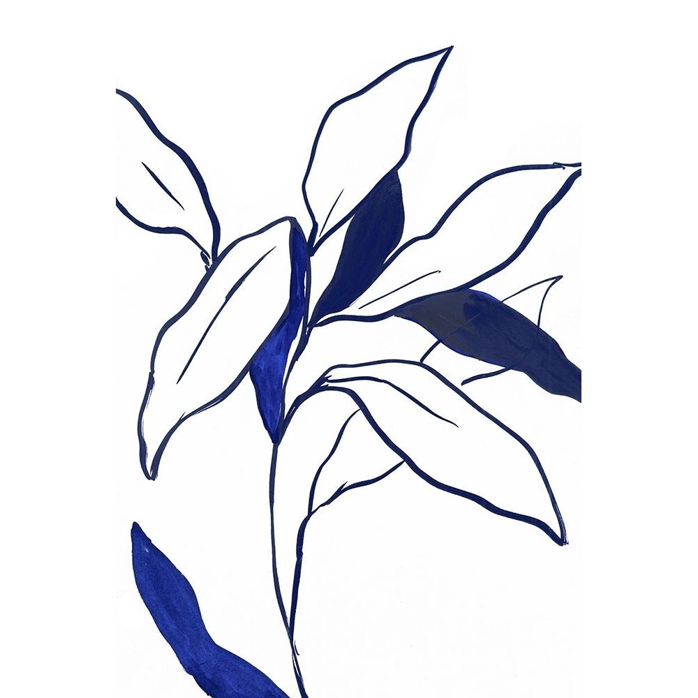 Indigo Lilly?_ Poster Print by PI Studio PI Studio-VARPDXPI231A Image 1