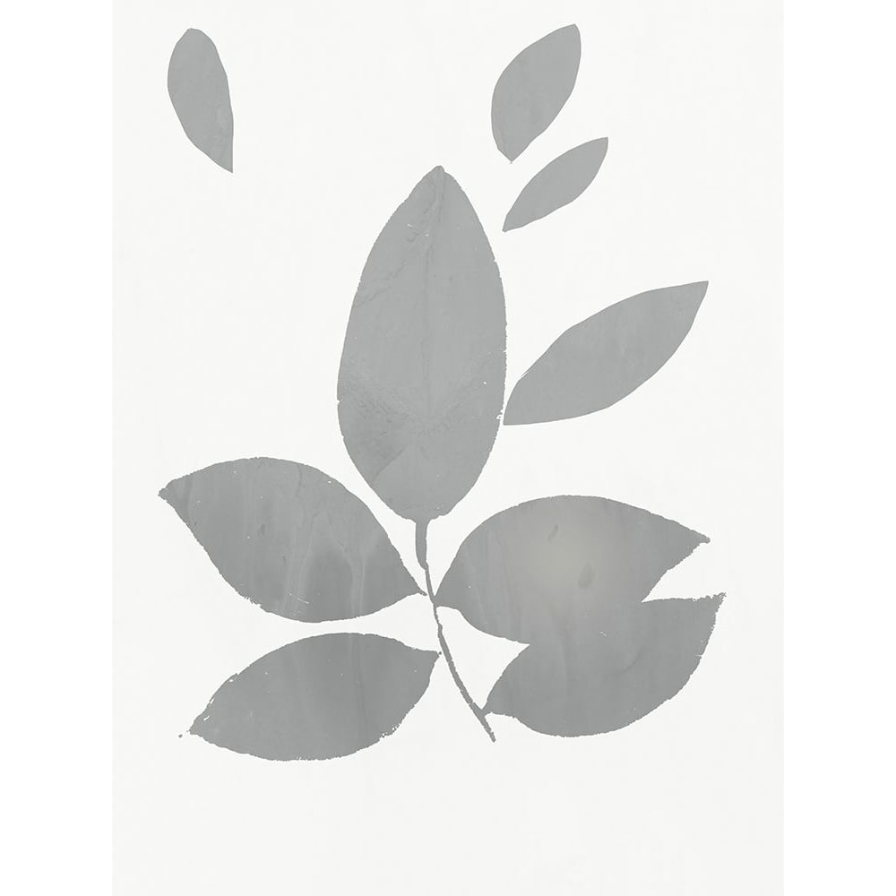 Grey Foliage Poster Print by PI Juvenile PI Juvenile-VARPDXPJ008A Image 1