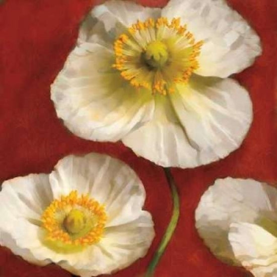 Poppy Elegance II Poster Print by Janel Pahl-VARPDXPLP117 Image 1