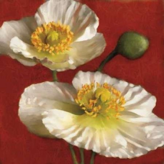 Poppy Elegance I Poster Print by Janel Pahl-VARPDXPLP116 Image 2