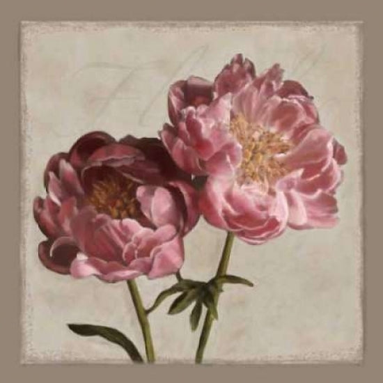 Botanical Peony Poster Print by Janel Pahl-VARPDXPLP143 Image 2