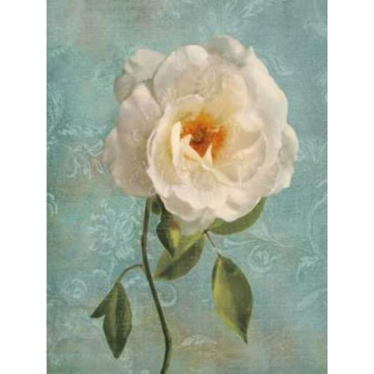 Purity I Poster Print by Janel Pahl-VARPDXPLP146 Image 1