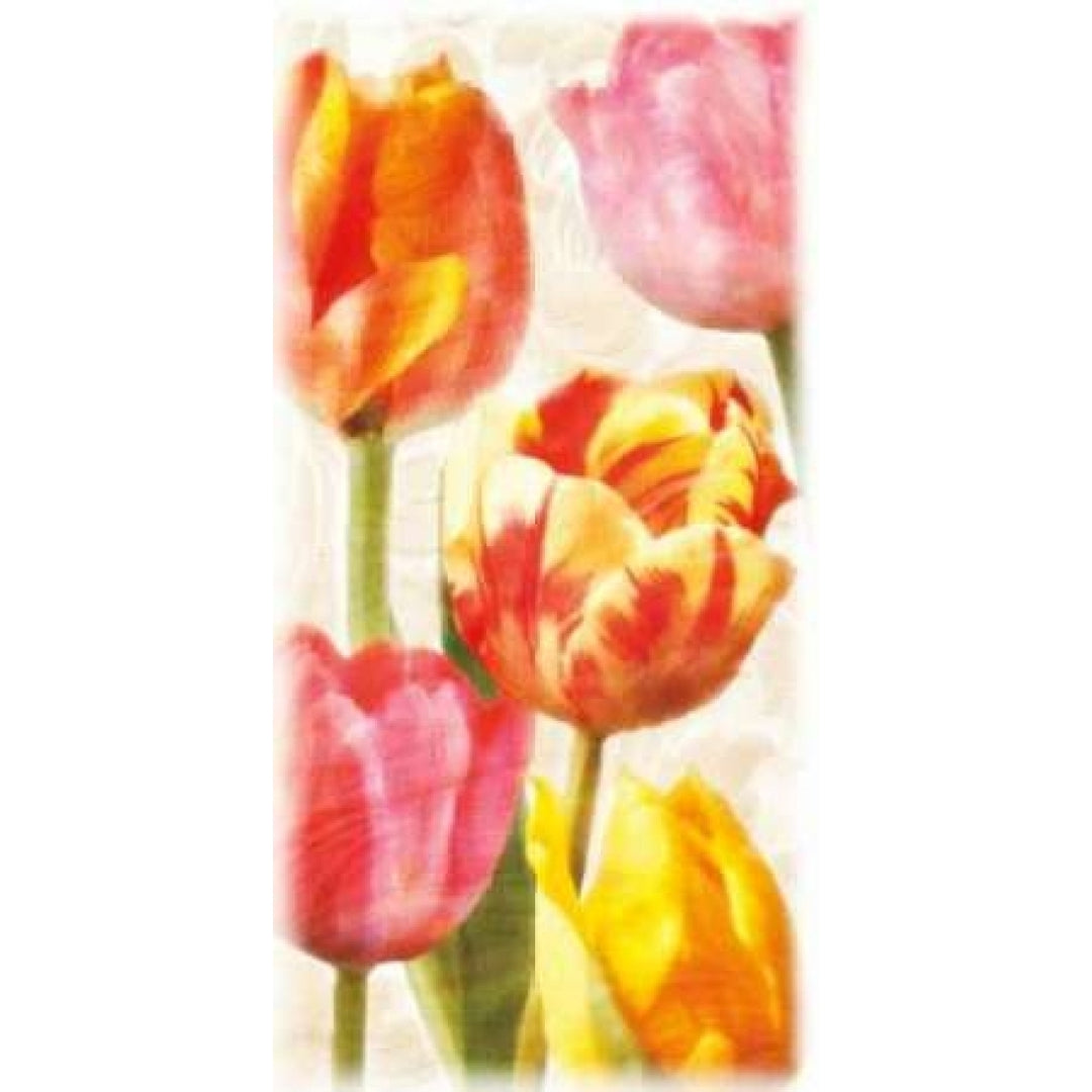 Glowing Tulips II Poster Print by Janel Pahl-VARPDXPLP158 Image 1