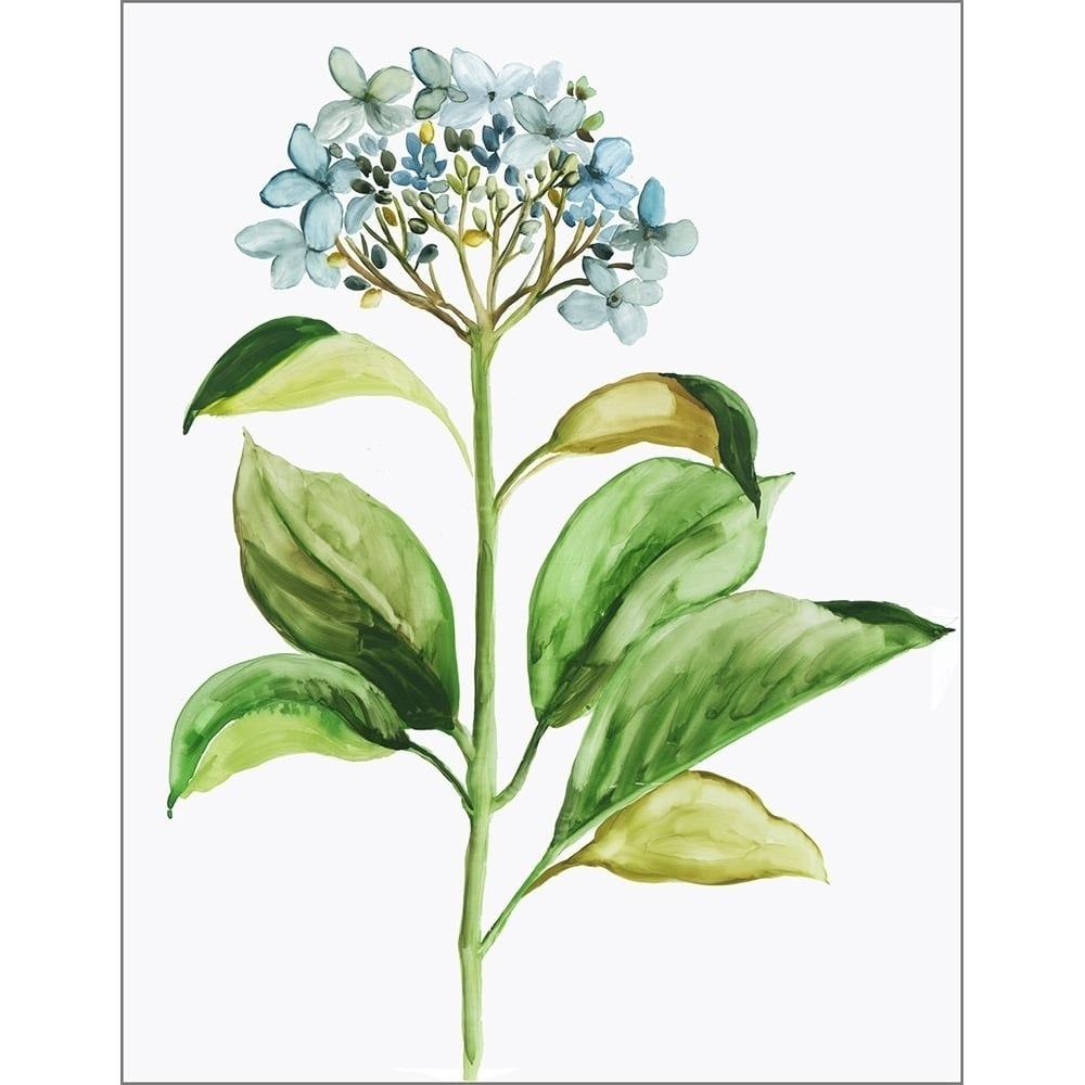 Little Hydrangea by Pi Studio-VARPDXPM254A Image 1