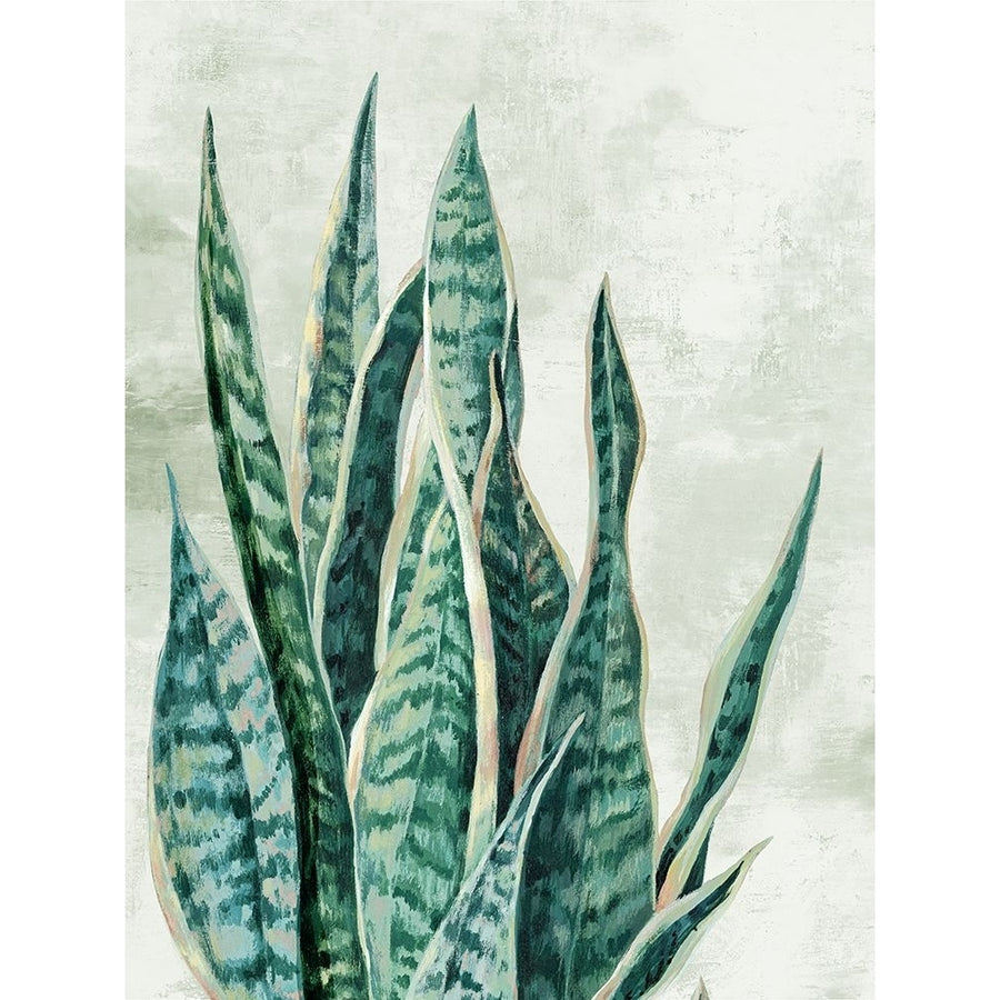 Reaching Snake Plant Poster Print - PI Studio-VARPDXPM244A Image 1