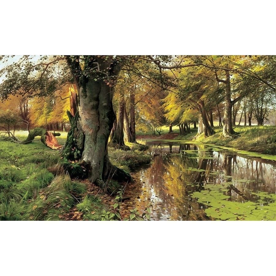 A Woodland Stream Poster Print - Peder Monsted-VARPDXPM3082 Image 1