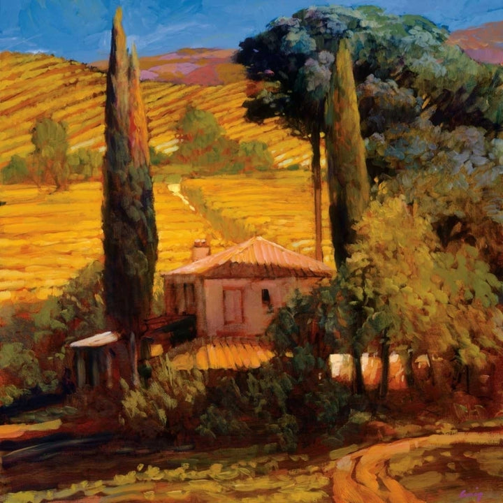 Tuscan Morning Light Poster Print by Philip Craig-VARPDXPOD5032 Image 1