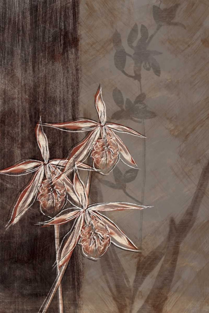 Orchid Sketch II Poster Print by Tandi Venter-VARPDXPOD5140 Image 1