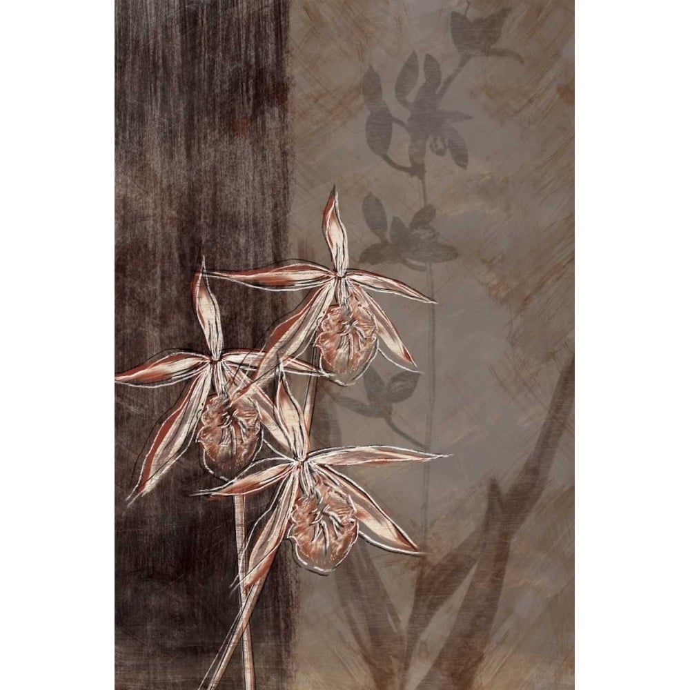 Orchid Sketch II Poster Print by Tandi Venter-VARPDXPOD5140 Image 2