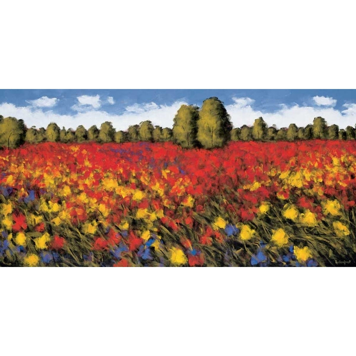 Summer Splendor Poster Print by Wayne Leidenfrost-VARPDXPOD5150 Image 1