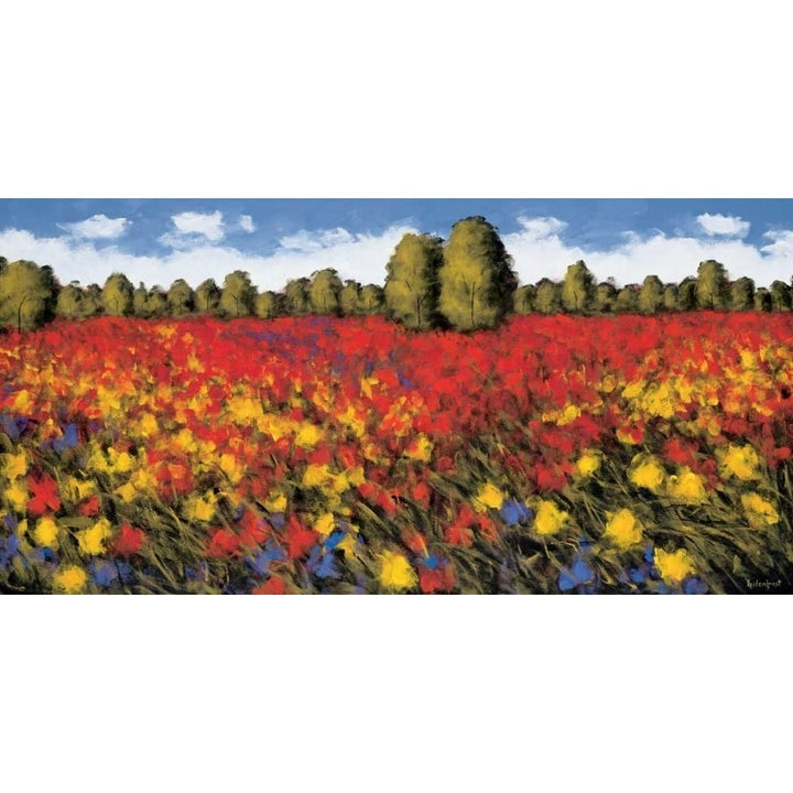 Summer Splendor Poster Print by Wayne Leidenfrost-VARPDXPOD5150 Image 1