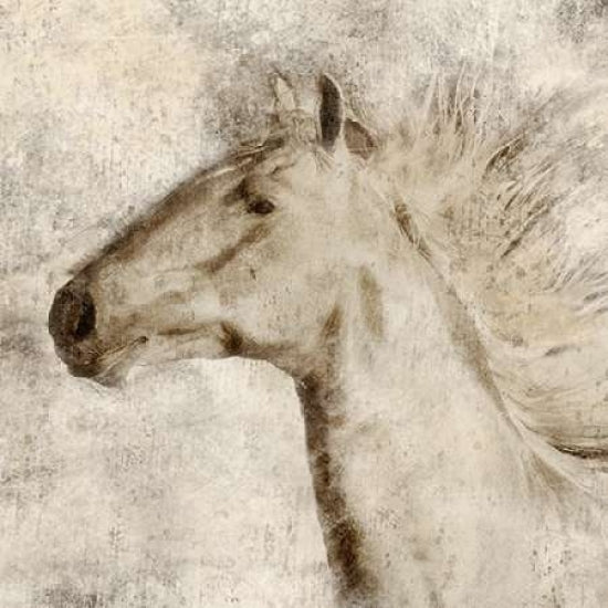 Stallion I Poster Print by Janel Pahl-VARPDXPOD5524 Image 2