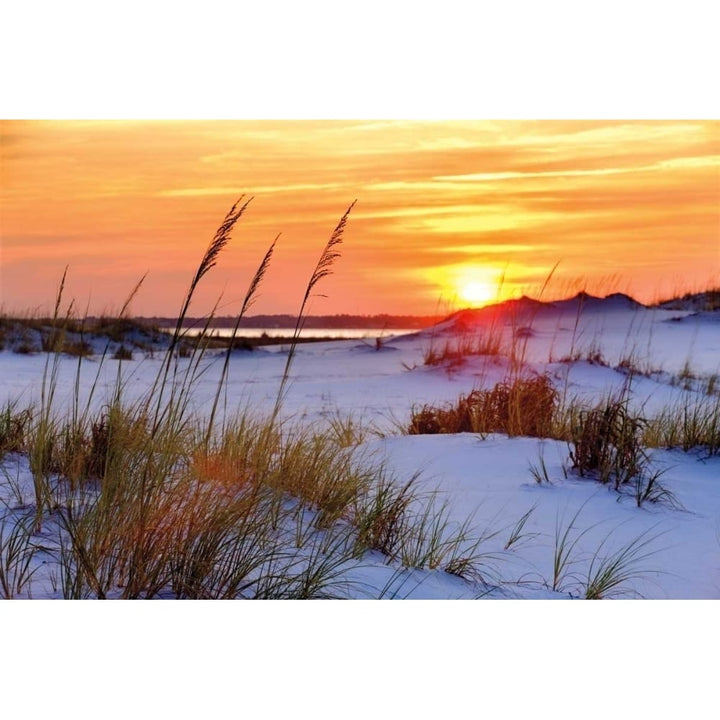 Seashore Sunset Poster Print by Mike Jones-VARPDXPOD5824 Image 1