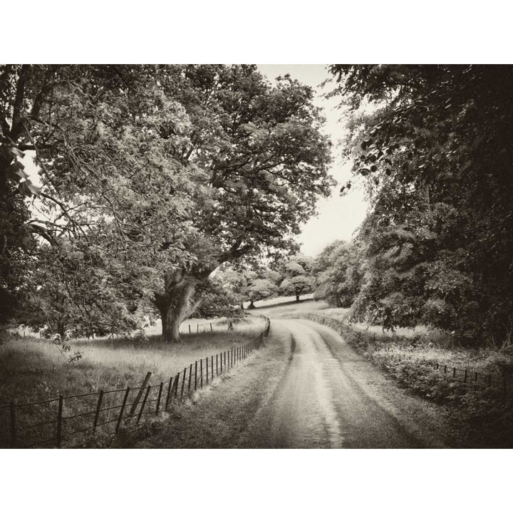 Country Roads Poster Print by Janel Pahl-VARPDXPOD5845 Image 2