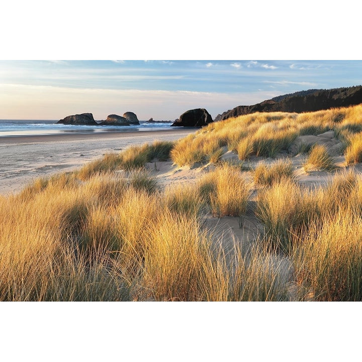 Dune Grass And Beach Poster Print by Dennis Frates-VARPDXPOD60283 Image 1