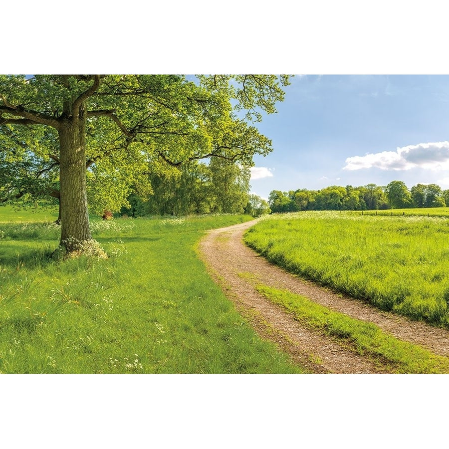 Greenest Pastures Poster Print by Assaf Frank-VARPDXPOD60408 Image 1