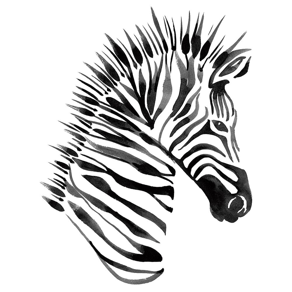 Zebra Poster Print by Marina Billinghurst-VARPDXPOD60621 Image 1